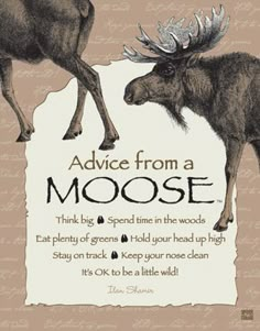 an illustration of two moose standing next to each other with the words advice from a moose