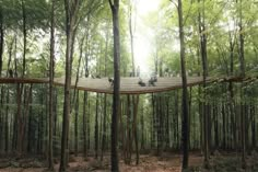 people are riding bikes in the middle of a forest on a wooden platform that is suspended over trees