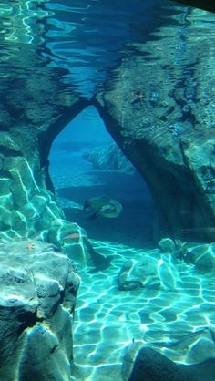 an underwater cave in the ocean with rocks and water