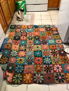 a cat sitting on the kitchen floor in front of a granny granny's afghan