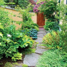 an image of a garden with plants and flowers on the front page, which reads soothing garden escape