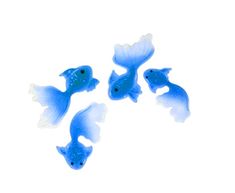 three small blue fish on a white background