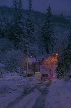 a snowy road in the middle of a forest at night