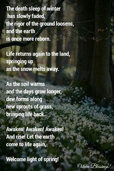 a poem written in the woods with snowdrops and trees behind it, along with an image of white flowers