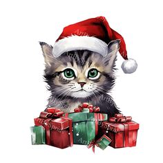 a cat wearing a santa claus hat with presents around it's neck and eyes