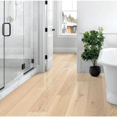 a bathroom with white walls and wood flooring next to a bathtub in the corner