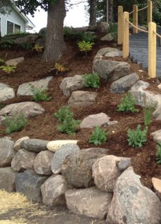 there is a rock wall and stairs in the yard