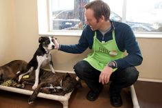 a man petting two dogs in front of a window