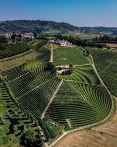 an aerial view of a farm with rows of crops