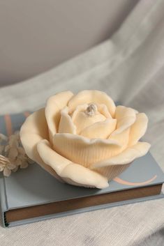 a white rose sitting on top of a book next to an object that looks like it has been made out of clay