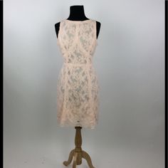 Nwt, 38 In Lace Floral Detail Sleeveless Sku 0037e (L) X 2 Sku 0084w (L) Feminine Sleeveless Sheer Midi Dress, Chic Sheer Sleeveless Lace Dress, Chic Sleeveless Sheer Lace Dress, Sheer Sleeveless Elegant Dress For Spring, Sleeveless Sheer Lace Midi Dress, Beige Sleeveless Dress For Spring Date Night, Sheer Lace Sleeveless Midi Dress, Fitted Sleeveless Mini Dress In Peach, Fitted Sleeveless Peach Mini Dress