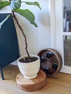 a potted plant sitting on top of a wooden stand next to a door way