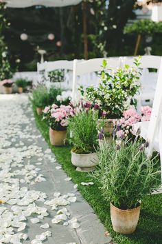 the front page of an instagramted post for a wedding ceremony with flowers and chairs