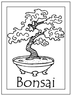 bonsai tree in a bowl with the word bonsai below it