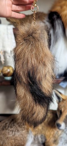 a person holding a dog's tail while it is being petted