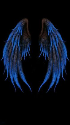 two blue feathers with black background and one has large, dark wings in the shape of an angel