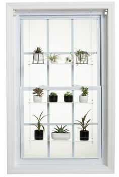 Hanging Window Plant Shelf  - 3 Shelf. Hanging Window Plant Shelf, Window Plant Shelves, Window Shelf For Plants, Acrylic Wall Shelf, Window Plant Shelf, Indoor Plant Shelves, Plant Window, Window Shelves, Window Plants