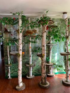 a room filled with lots of different types of trees and bird feeders on top of them