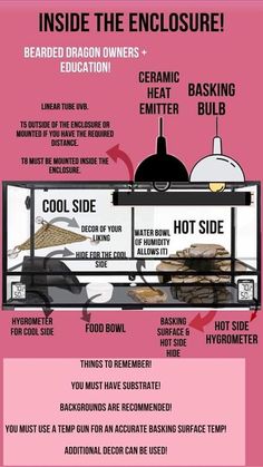 an info sheet describing how to use the grill for hot dogs and hamburgers, with instructions