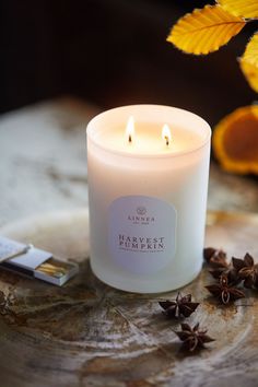 Reminiscent of fall celebrations, this candle is scented with ripe pumpkin and subtle herbal overtones. Combining natural soy wax, lead-free cotton wicks, and pure scents, Linne's Lights clean-burning candles are carefully hand-poured in small batches. Ombre Candle, Candle Photography, Harvest Pumpkin, Candles Photography, Burning Candles, Winter Candle, Pumpkin Candles, Pumpkin Lights, Candles For Sale