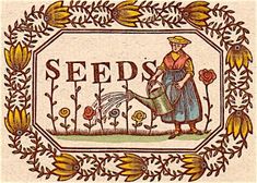 a drawing of a woman watering flowers with the word seeds in it's center