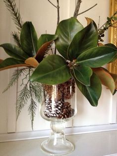 a vase filled with green leaves and pine cones