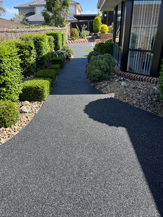 a paved driveway leading to a house with bushes and shrubs on either side of it