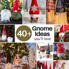 the collage shows different types of gnomes