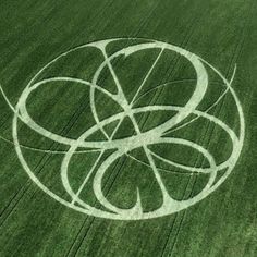 an aerial view of a crop circle in the middle of a green field with circles drawn on it