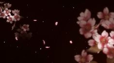 some pink flowers floating in the air on a black background with water droplets around them