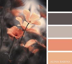 the color scheme is peach, grey and black with some orange flowers in it's center