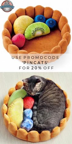 a cat sleeping in a pet bed made out of fruit