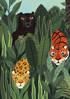 two tigers in the jungle surrounded by plants