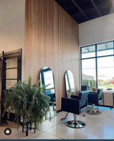 a salon with chairs, mirrors and plants in it