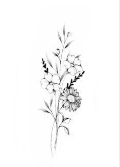 a black and white drawing of flowers