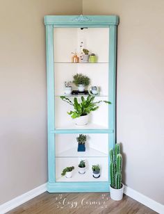 a shelf filled with potted plants on top of a wooden floor