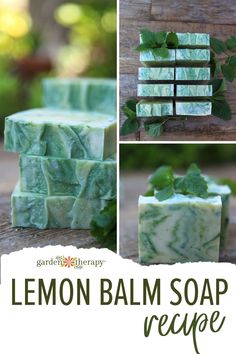 the lemon balm soap recipe is made with fresh mints, and it's ready