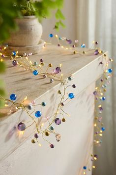 a potted plant sitting on top of a wooden shelf next to a string of lights