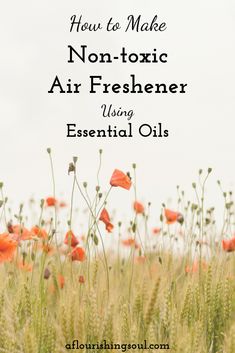 Check out this how-to guide for making non-toxic, chemical free room spray using essential oils. Includes three suggestions for essential oil blends Using Essential Oils, Oil Blends, Room Spray, Chemical Free, Hollywood Regency, Essential Oil Blends, Oil Blend, Essential Oil, Essential Oils