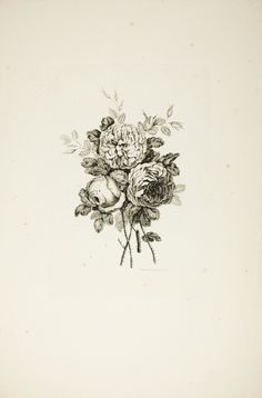 a drawing of flowers and fruit on a white background