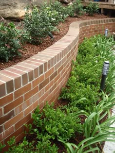 there is a brick wall in the middle of some plants and bushes next to it