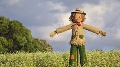 a scarecrow standing in the middle of a field