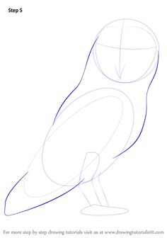 how to draw an owl step by step