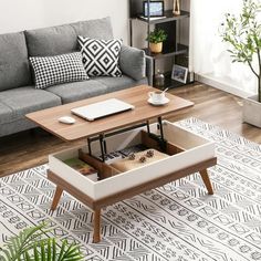 a living room with a couch, coffee table and potted plant on the floor