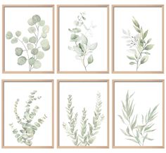 four watercolor paintings of green leaves and branches in square frames on a white background