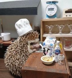 a hedgehog with a chef's hat on sitting at a table eating food