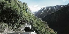 there is a tunnel in the side of a mountain with trees on both sides and a road going through it