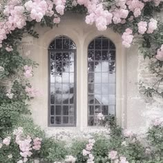 pink flowers are growing on the side of an old building with two windows in it