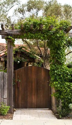 a wooden gate with vines growing over it