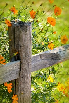 a fence with flowers growing over it and the words in russian are written on them